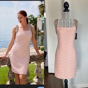 Plus NWT Frank Lyman 🇨🇦 Pink Party Dress W/Silver Beaded Metallic Detail Sz 16